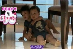 娱乐爆料八卦全集,爆料八卦全集大起底