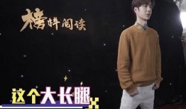 明星爆料之王一博视频播放,明星爆料背后的故事