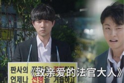 致亲爱的法官大人在线观看,在线观看，揭开法律与人性的深刻对决