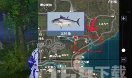 绿洲世界钓鱼爆料视频,揭秘神秘水域宝藏与钓鱼技巧