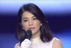 娱乐圈爆料张文文,张文文爆料背后真相，揭秘明星圈层不为人知的一面