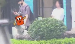 狗仔爆料打粉丝脸的视频,视频曝光打粉丝脸瞬间引发热议