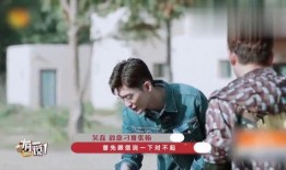 圈内人爆料宝藏男孩,圈内人揭秘神秘新星