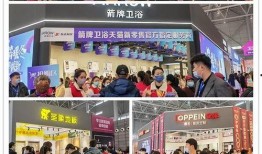 合肥爆料团最新,城市热点事件深度剖析