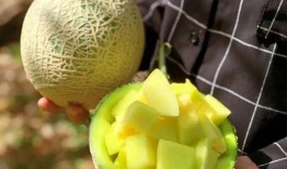 娱乐吃瓜中,揭秘明星幕后故事，吃瓜群众狂欢时刻