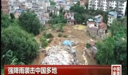 广西田林新闻爆料,揭秘广西田林最新热点事件