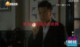 爆料陕西张老九视频播放,揭秘民间传奇人物背后的故事