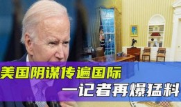 德国记者爆料视频,视频曝光事件真相