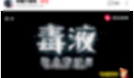 保定吃瓜最新爆料视频播放,揭秘最新爆料背后的真相与细节