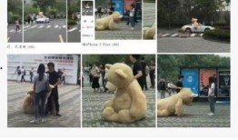 搜狐娱乐新闻爆料,明星隐私大揭秘，幕后故事令人震惊