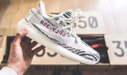 新款球鞋爆料视频教程下载,视频教程带你领略时尚潮流