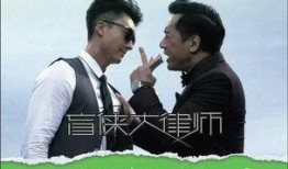 盲侠大律师在线观看免费,正义之光，免费在线观看