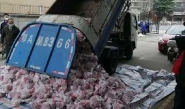 武汉环卫车爆料视频曝光,揭示城市清洁背后的故事