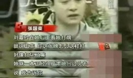 明星打麻将爆料视频播放,揭秘幕后打牌瞬间，视频播放量爆表！