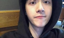 狗崽爆料明星黑料视频,揭秘明星不为人知的黑料视频