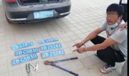 车牌诈骗怎么爆料的呢视频,视频揭秘不法手段