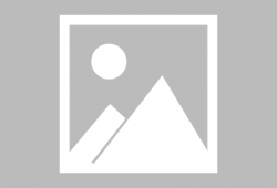 内蒙古新闻爆料联系方式,携手共建和谐家园，共筑美好未来