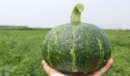 栗子娱乐吃瓜,揭秘娱乐圈最新吃瓜事件，带你领略明星幕后故事