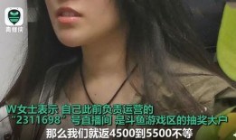 辽宁辣妈爆料事件视频完整版,视频完整版揭露惊人真相