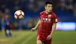 武磊球场爆料视频最新,精彩瞬间与幕后故事