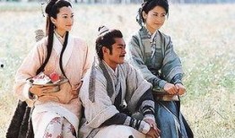 寻秦记爆料历史真相视频,穿越时空的史实探寻