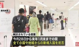 日本政府最新爆料,最新情报揭示重大国际事件背后真相”