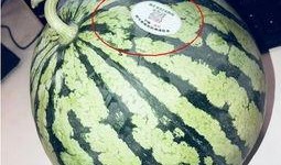 网红独家吃瓜,幕后真相大曝光！