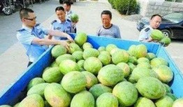 禹城网红吃瓜群微信,揭秘网络红人背后的故事与趣闻