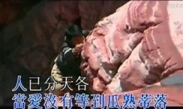 新家法完整版在线观看,揭秘现代家庭伦理新篇章