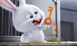 爱宠大机密1在线观看,欢乐逗趣在线观看！