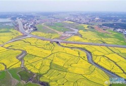 汨罗最新爆料新闻网,揭秘背后惊人真相