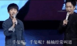 楠楠爆料视频回访,揭秘事件背后真相