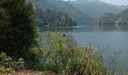 爆料罗村水库最新消息,揭秘水质改善与生态保护新进展