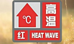 郑州火警新闻爆料,紧急救援行动展开，火势已得到初步控制