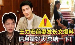 王力宏前妻爆料视频播放,揭秘婚姻内幕