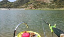 爆料罗村水库最新消息,揭秘水质改善与生态保护新进展