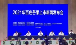 百色今日爆料新闻最新,详情揭晓”