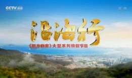 远方的家在线观看,穿越时空的温馨之旅