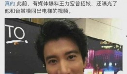 王力宏前妻爆料视频播放,揭秘婚姻内幕