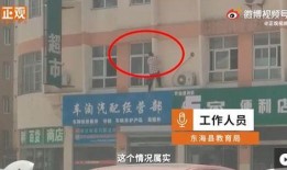 德辉学校爆料视频大全下载,揭秘校园风云录