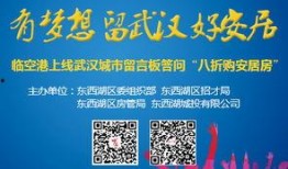 东西湖新闻爆料,揭秘社区新动态，聚焦民生热点事件
