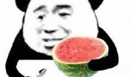 娱乐吃瓜酱学渣和学霸,娱乐吃瓜酱带你领略学习界的风云变幻