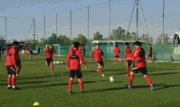 最新外国足球爆料视频播放,独家视频揭示球星幕后故事