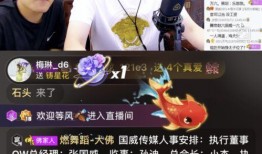 丰哥生活爆料视频,揭秘日常生活中的趣味瞬间