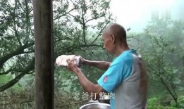 最新爆料阿乐是谁的孩子,阿乐竟是哪位巨星之子，背后故事令人震惊