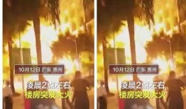 西湖火灾学生爆料视频大全,现场直击与救援纪实