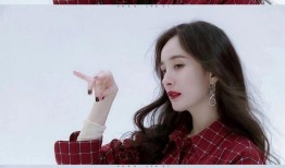 国内娱乐圈爆料小说,揭秘明星们的爱恨情仇