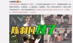 张乃丹爆料财经视频全集,深度解析财经领域热点与趋势