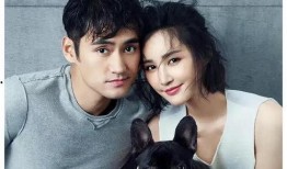 明星大瓜爆料视频