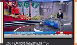 广州时报爆料新闻最新,揭秘某知名企业涉嫌违规操作内幕